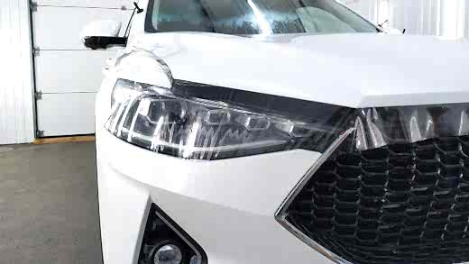 haval_f7x_ppf